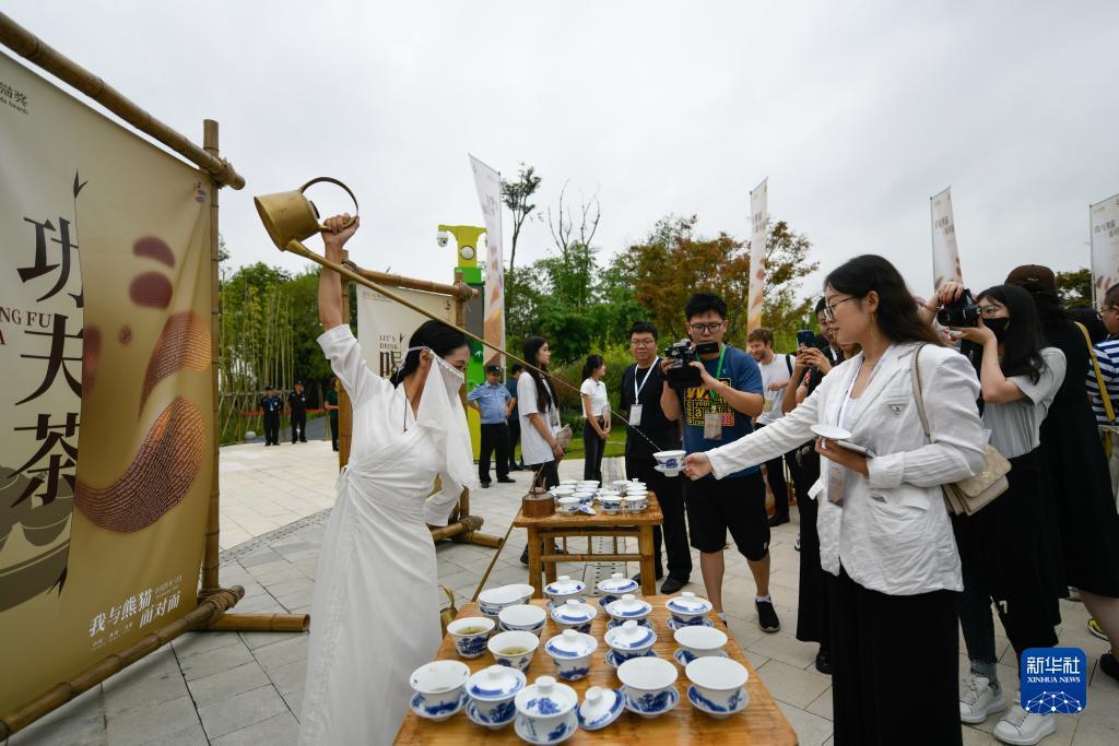 白菜送彩金59网站大全